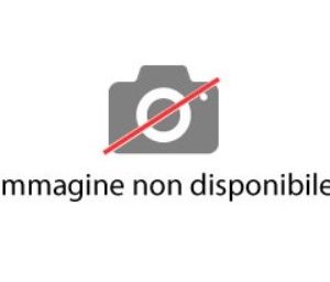 Treccani